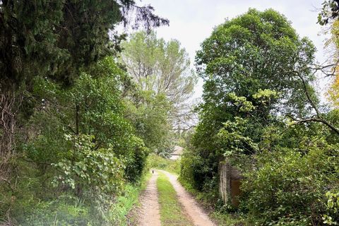 Villa a Carpentras, Vaucluse, Carpentras - € 305.000 | Ref: 16262 - foto 2