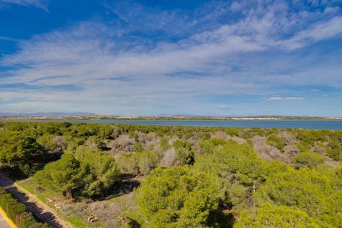 Leilighet i Torrevieja, Alicante, Torrevieja - € 137 000 | Ref: 750230 - foto 28