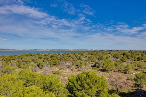 Leilighet i Torrevieja, Alicante, Torrevieja - € 137 000 | Ref: 750230 - foto 29