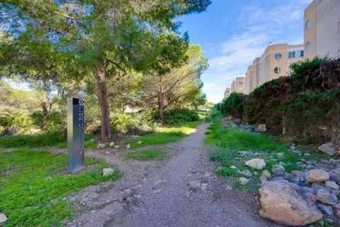 Leilighet i Torrevieja, Alicante, Torrevieja - € 137 000 | Ref: 750230 - foto 35