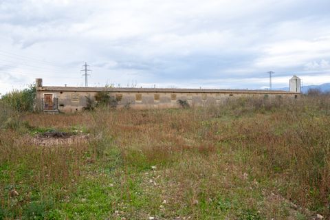 Finca i Ulldecona, Tarragona, Ulldecona - € 90.000 | Ref: 304 - foto 21