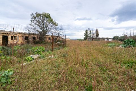 Finca i Ulldecona, Tarragona, Ulldecona - € 90.000 | Ref: 304 - foto 10