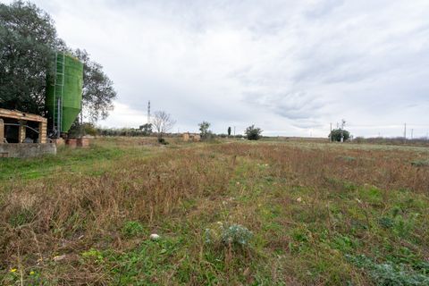 Finca i Ulldecona, Tarragona, Ulldecona - € 90.000 | Ref: 304 - foto 9
