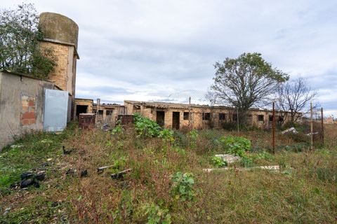 Finca i Ulldecona, Tarragona, Ulldecona - € 90.000 | Ref: 304 - foto 11