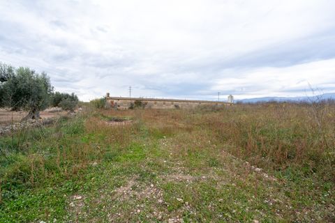 Finca i Ulldecona, Tarragona, Ulldecona - € 90.000 | Ref: 304 - foto 22