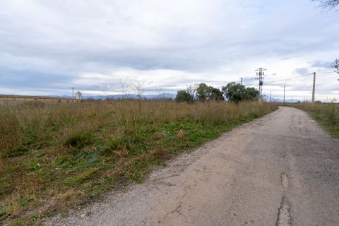 Finca i Ulldecona, Tarragona, Ulldecona - € 90.000 | Ref: 304 - foto 24