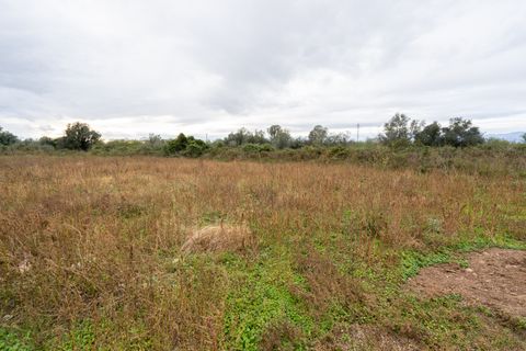 Finca i Ulldecona, Tarragona, Ulldecona - € 90.000 | Ref: 304 - foto 19
