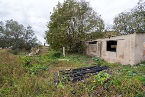 Finca i Ulldecona, Tarragona, Ulldecona - € 90.000 | Ref: 304 - foto 15