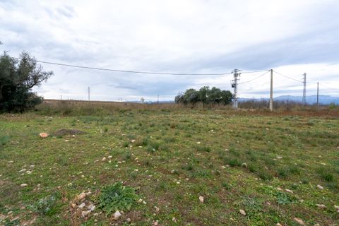 Finca i Ulldecona, Tarragona, Ulldecona - € 90.000 | Ref: 304 - foto 23