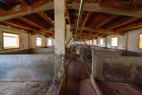Finca i Ulldecona, Tarragona, Ulldecona - € 90.000 | Ref: 304 - foto 16