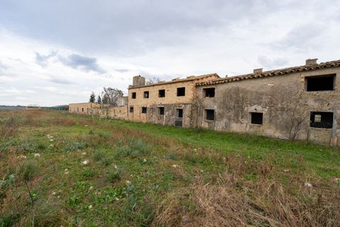 Finca i Ulldecona, Tarragona, Ulldecona - € 90.000 | Ref: 304 - foto 3