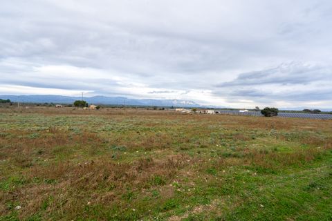 Finca i Ulldecona, Tarragona, Ulldecona - € 90.000 | Ref: 304 - foto 13