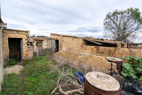Finca i Ulldecona, Tarragona, Ulldecona - € 90.000 | Ref: 304 - foto 14