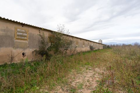 Finca i Ulldecona, Tarragona, Ulldecona - € 90.000 | Ref: 304 - foto 17