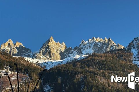 Erhvervsejendom i Chamonix, Haute-Savoie, Chamonix - € 1.800.000 | Ref: LC5277 - foto 4