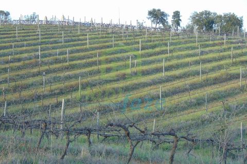 Farm i Evora, Evora, Evora - € 380.000 | Ref: 0633 - foto 3