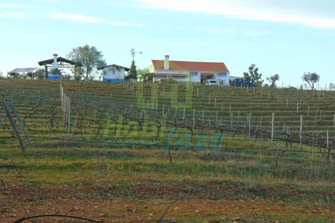 Farm i Evora, Evora, Evora - € 380.000 | Ref: 0633 - foto 4