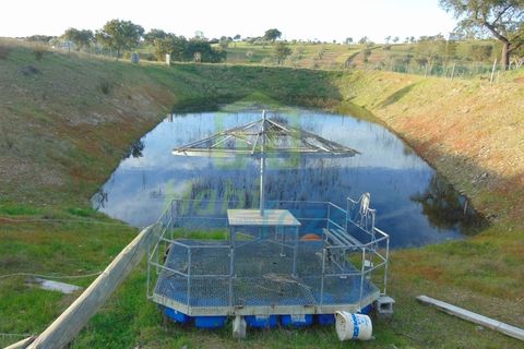 Farm i Evora, Evora, Evora - € 380.000 | Ref: 0633 - foto 22