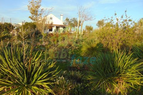 Farm i Evora, Evora, Evora - € 380.000 | Ref: 0633 - foto 27