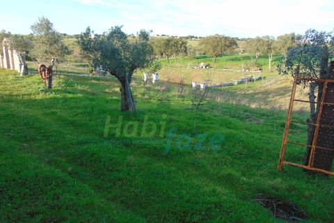Farm i Evora, Evora, Evora - € 380.000 | Ref: 0633 - foto 28