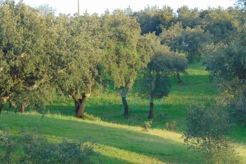 Farm i Evora, Evora, Evora - € 380.000 | Ref: 0633 - foto 30