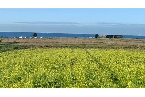 Helårsgrund i Areosa, Viana do Castelo, Areosa - € 110.000 | Ref: UNU-F3-72-19 - foto 1