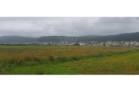 Helårsgrund i Areosa, Viana do Castelo, Areosa - € 110.000 | Ref: UNU-F3-72-19 - foto 4
