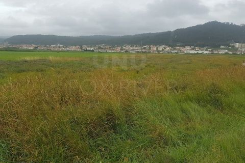 Helårsgrund i Areosa, Viana do Castelo, Areosa - € 110.000 | Ref: UNU-F3-72-19 - foto 5