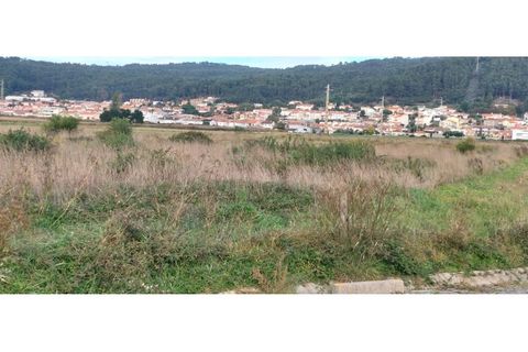 Helårsgrund i Areosa, Viana do Castelo, Areosa - € 110.000 | Ref: UNU-F3-72-19 - foto 6