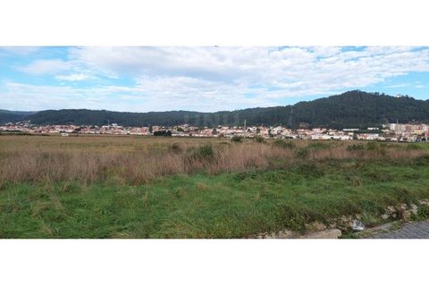 Helårsgrund i Areosa, Viana do Castelo, Areosa - € 110.000 | Ref: UNU-F3-72-19 - foto 7