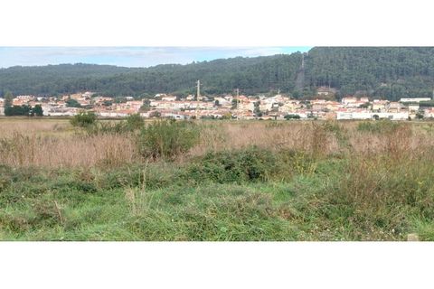 Helårsgrund i Areosa, Viana do Castelo, Areosa - € 110.000 | Ref: UNU-F3-72-19 - foto 8