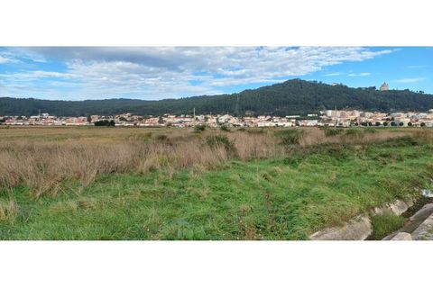 Helårsgrund i Areosa, Viana do Castelo, Areosa - € 110.000 | Ref: UNU-F3-72-19 - foto 9
