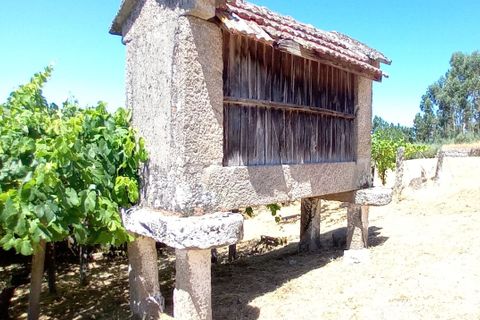 Villa a Podame, Viana do Castelo, Podame - € 57.500 | Ref: SF-SAFTI:007449 - foto 3