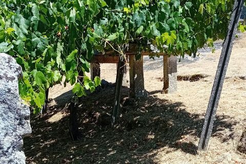 Villa a Podame, Viana do Castelo, Podame - € 57.500 | Ref: SF-SAFTI:007449 - foto 8