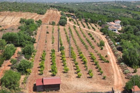 Helårsgrund i Algoz, Faro, Algoz - € 330.000 | Ref: SF-SAFTI:007451 - foto 3