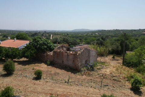 Helårsgrund i Algoz, Faro, Algoz - € 330.000 | Ref: SF-SAFTI:007451 - foto 14