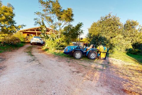 Helårsgrund i Algoz, Faro, Algoz - € 330.000 | Ref: SF-SAFTI:007451 - foto 15