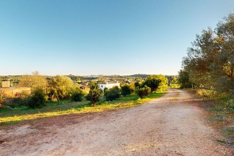 Helårsgrund i Algoz, Faro, Algoz - € 330.000 | Ref: SF-SAFTI:007451 - foto 16