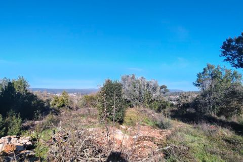 Helårsgrund i Ansiao, Leiria, Ansiao - € 31.300 | Ref: SF-8306 - foto 3