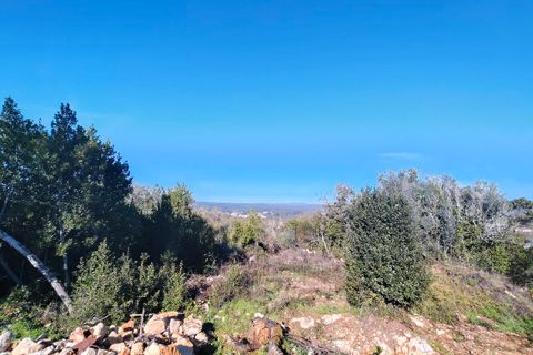 Helårsgrund i Ansiao, Leiria, Ansiao - € 31.300 | Ref: SF-8306 - foto 4