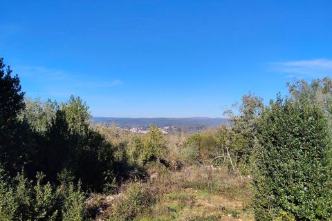 Helårsgrund i Ansiao, Leiria, Ansiao - € 31.300 | Ref: SF-8306 - foto 5
