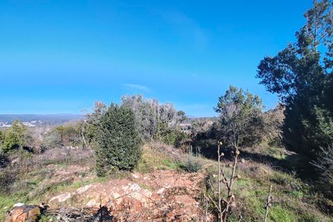 Helårsgrund i Ansiao, Leiria, Ansiao - € 31.300 | Ref: SF-8306 - foto 6