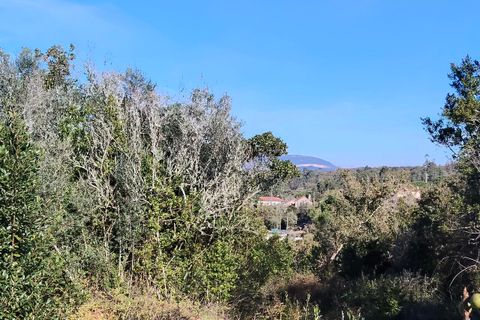 Helårsgrund i Ansiao, Leiria, Ansiao - € 31.300 | Ref: SF-8306 - foto 7
