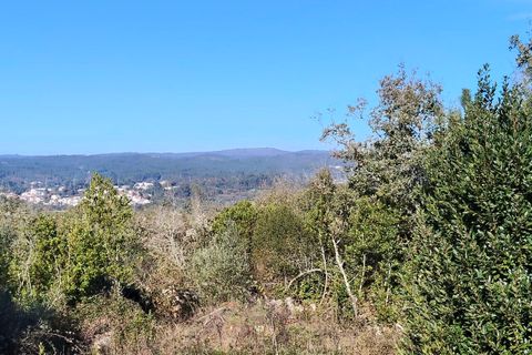 Helårsgrund i Ansiao, Leiria, Ansiao - € 31.300 | Ref: SF-8306 - foto 2