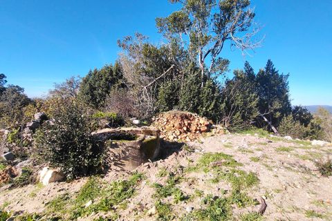 Helårsgrund i Ansiao, Leiria, Ansiao - € 31.300 | Ref: SF-8306 - foto 8