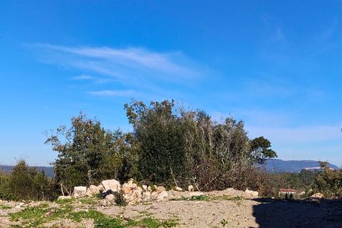 Helårsgrund i Ansiao, Leiria, Ansiao - € 31.300 | Ref: SF-8306 - foto 9