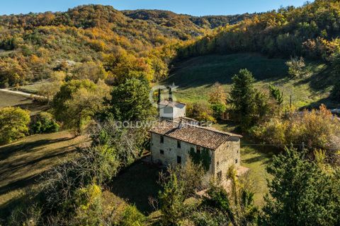 Landejendom i Montone, Perugia, Montone - € 390.000 | Ref: CBI160-2553-152 - foto 28