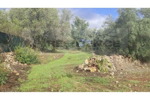 Helårsgrund i Alte, Faro, Alte - € 77.000 | Ref: TR-12 - foto 2