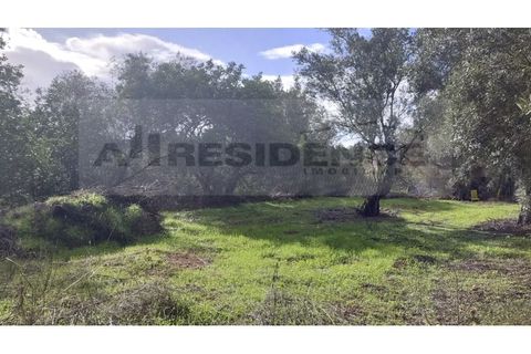 Helårsgrund i Alte, Faro, Alte - € 77.000 | Ref: TR-12 - foto 5