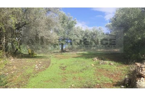 Helårsgrund i Alte, Faro, Alte - € 77.000 | Ref: TR-12 - foto 6